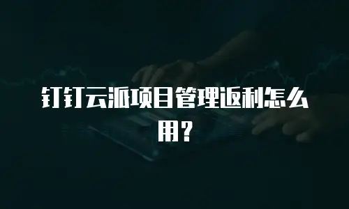 钉钉云派项目管理返利怎么用？
