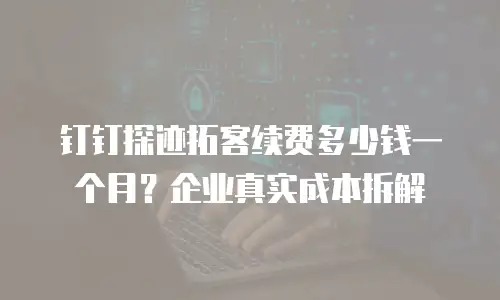 钉钉探迹拓客续费多少钱一个月？企业真实成本拆解
