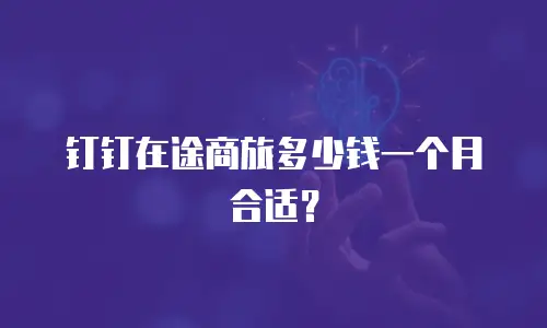 钉钉在途商旅多少钱一个月合适？