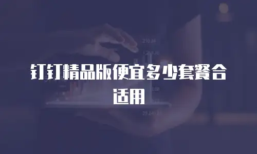 钉钉精品版便宜多少套餐合适用