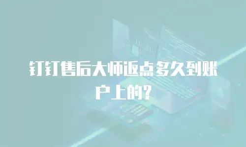 钉钉售后大师返点多久到账户上的？