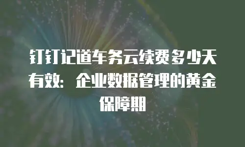 钉钉记道车务云续费多少天有效：企业数据管理的黄金保障期