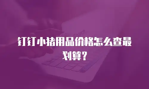钉钉小猪用品价格怎么查最划算？