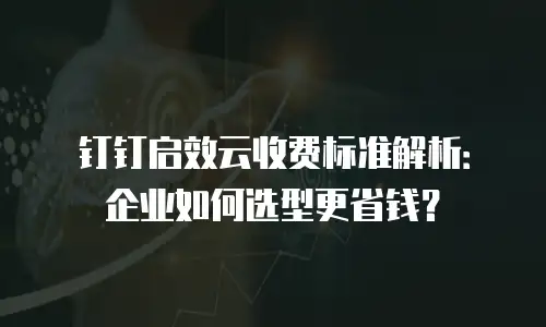 钉钉启效云收费标准解析：企业如何选型更省钱？