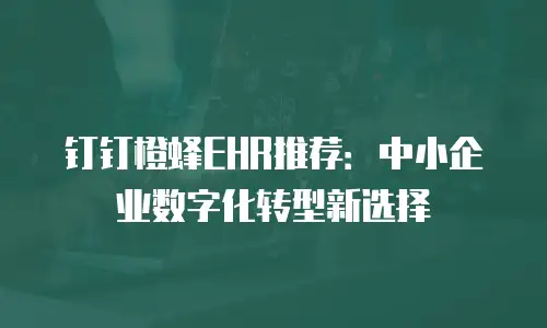 钉钉橙蜂EHR推荐：中小企业数字化转型新选择