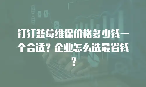 钉钉蓝莓维保价格多少钱一个合适？企业怎么选最省钱？