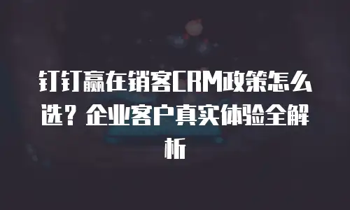 钉钉赢在销客CRM政策怎么选？企业客户真实体验全解析