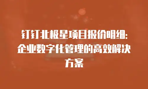 钉钉北极星项目报价明细：企业数字化管理的高效解决方案