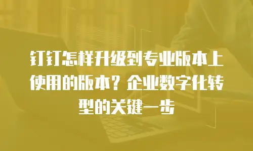 钉钉怎样升级到专业版本上使用的版本？企业数字化转型的关键一步