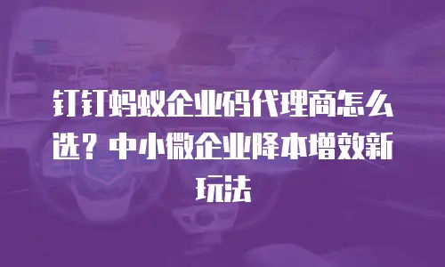 钉钉蚂蚁企业码代理商怎么选？中小微企业降本增效新玩法