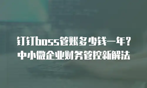 钉钉boss管账多少钱一年？中小微企业财务管控新解法