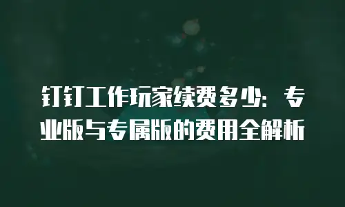 钉钉工作玩家续费多少：专业版与专属版的费用全解析