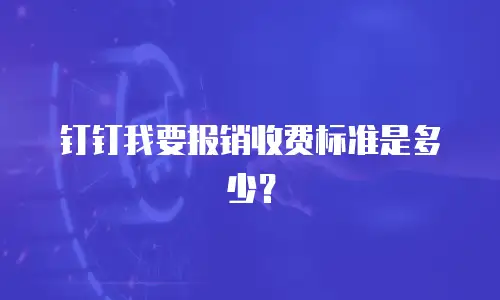 钉钉我要报销收费标准是多少？
