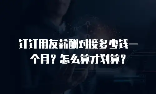 钉钉用友薪酬对接多少钱一个月？怎么算才划算？