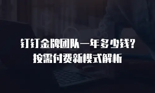 钉钉金牌团队一年多少钱？按需付费新模式解析
