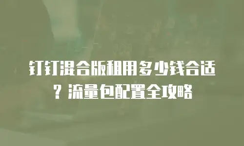钉钉混合版租用多少钱合适？流量包配置全攻略