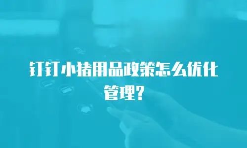 钉钉小猪用品政策怎么优化管理？