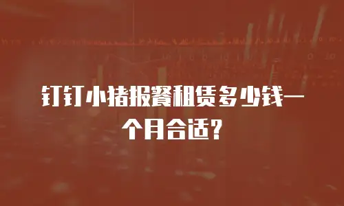 钉钉小猪报餐租赁多少钱一个月合适？