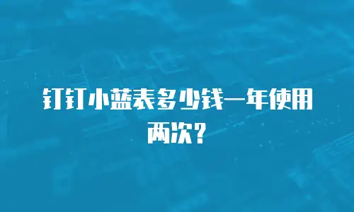 钉钉小蓝表多少钱一年使用两次？