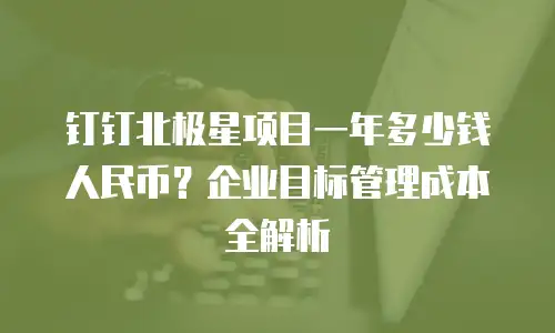 钉钉北极星项目一年多少钱人民币？企业目标管理成本全解析