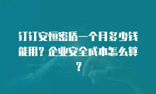 钉钉安恒密盾一个月多少钱能用？企业安全成本怎么算？