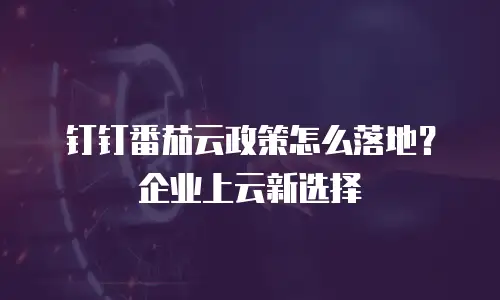 钉钉番茄云政策怎么落地？企业上云新选择