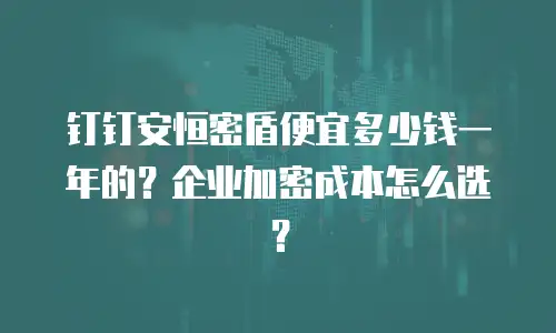 钉钉安恒密盾便宜多少钱一年的？企业加密成本怎么选？