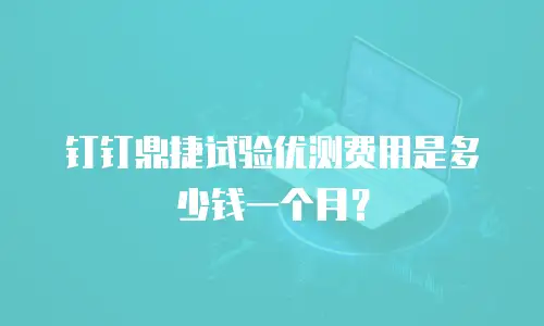 钉钉鼎捷试验优测费用是多少钱一个月？