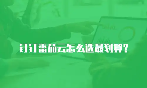 钉钉番茄云怎么选最划算？