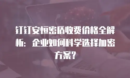 钉钉安恒密盾收费价格全解析：企业如何科学选择加密方案？
