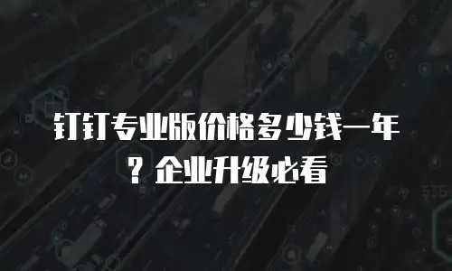 钉钉专业版价格多少钱一年？企业升级必看