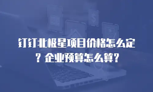 钉钉北极星项目价格怎么定？企业预算怎么算？
