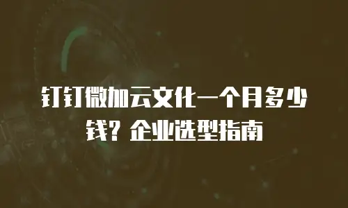 钉钉微加云文化一个月多少钱？企业选型指南