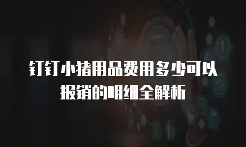 钉钉小猪用品费用多少可以报销的明细全解析