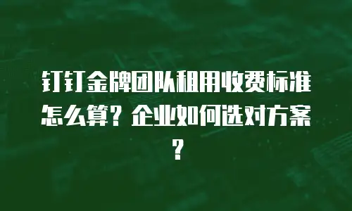 钉钉金牌团队租用收费标准怎么算？企业如何选对方案？