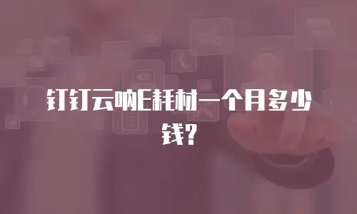 钉钉云呐E耗材一个月多少钱？