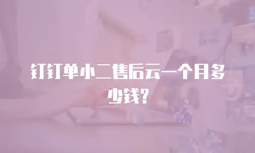 钉钉单小二售后云一个月多少钱？