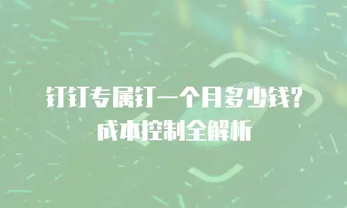 钉钉专属钉一个月多少钱？成本控制全解析