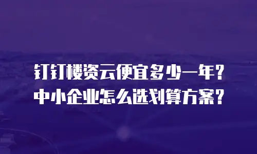 钉钉楼资云便宜多少一年？中小企业怎么选划算方案？