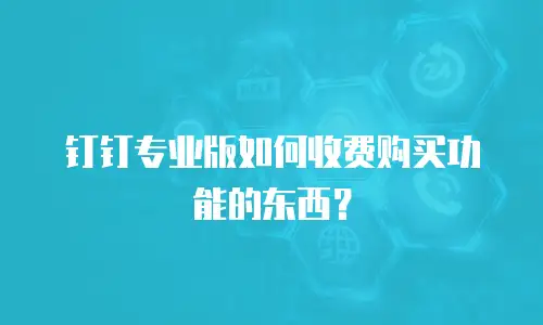 钉钉专业版如何收费购买功能的东西？