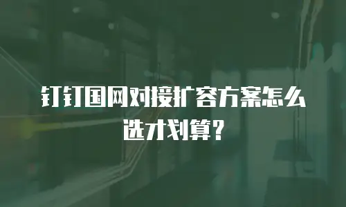钉钉国网对接扩容方案怎么选才划算？