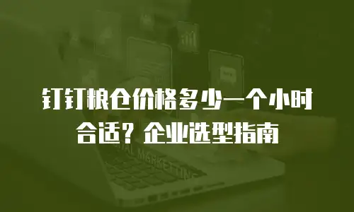 钉钉粮仓价格多少一个小时合适？企业选型指南