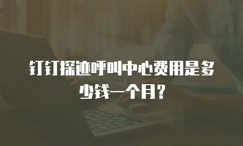 钉钉探迹呼叫中心费用是多少钱一个月？