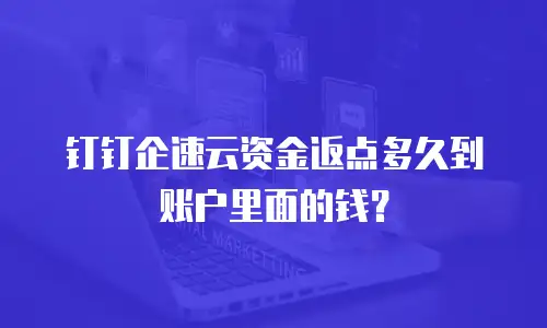 钉钉企速云资金返点多久到账户里面的钱？