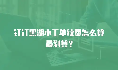 钉钉黑湖小工单续费怎么算最划算？