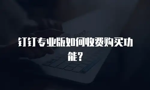 钉钉专业版如何收费购买功能？