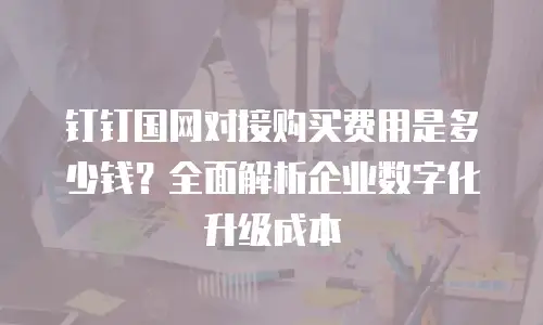 钉钉国网对接购买费用是多少钱？全面解析企业数字化升级成本