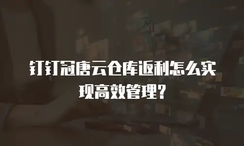 钉钉冠唐云仓库返利怎么实现高效管理？