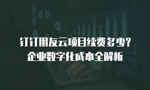 钉钉用友云项目续费多少？企业数字化成本全解析