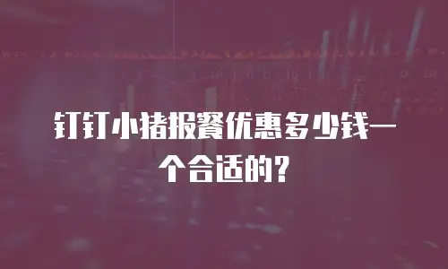钉钉小猪报餐优惠多少钱一个合适的？